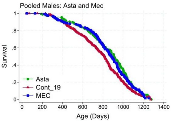 Over-the-counter wonders: new research highlights two compounds for a longer life