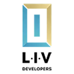 Liv Developers Linkedin - Professional Space Background - Retina