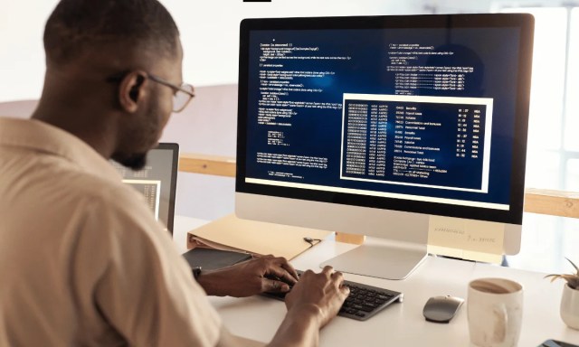 Understanding Your WordPress Development Needs