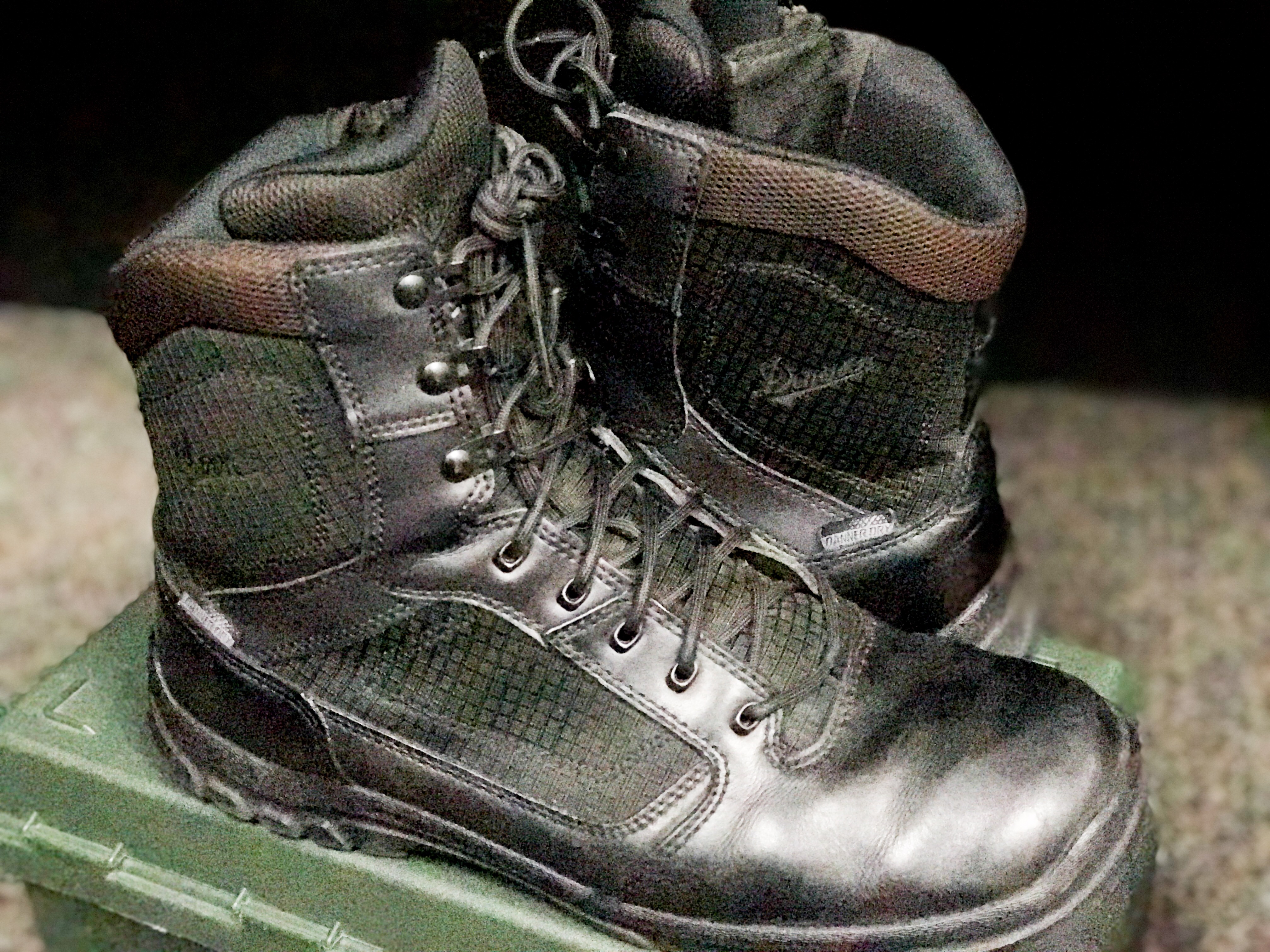 Danner Lookout 8\