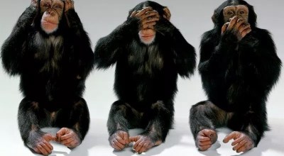 Feature image courtesy of Flickr.