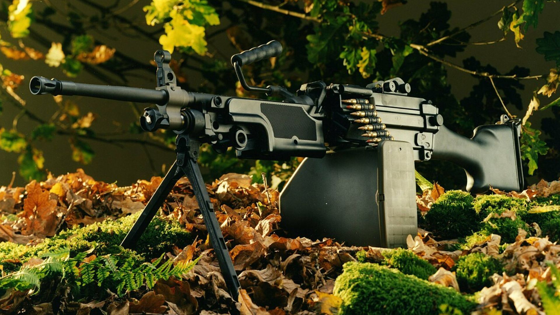 FN Minimi initial config