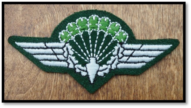 GSG 9 jump wings