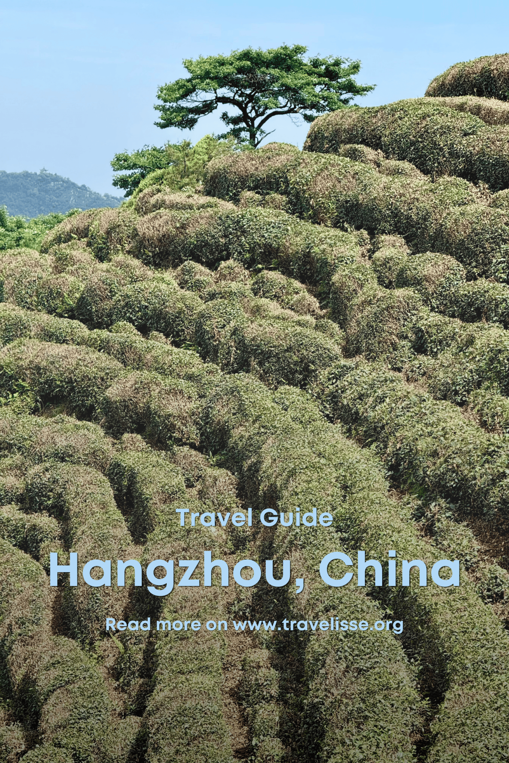 Hangzhou Pinterest