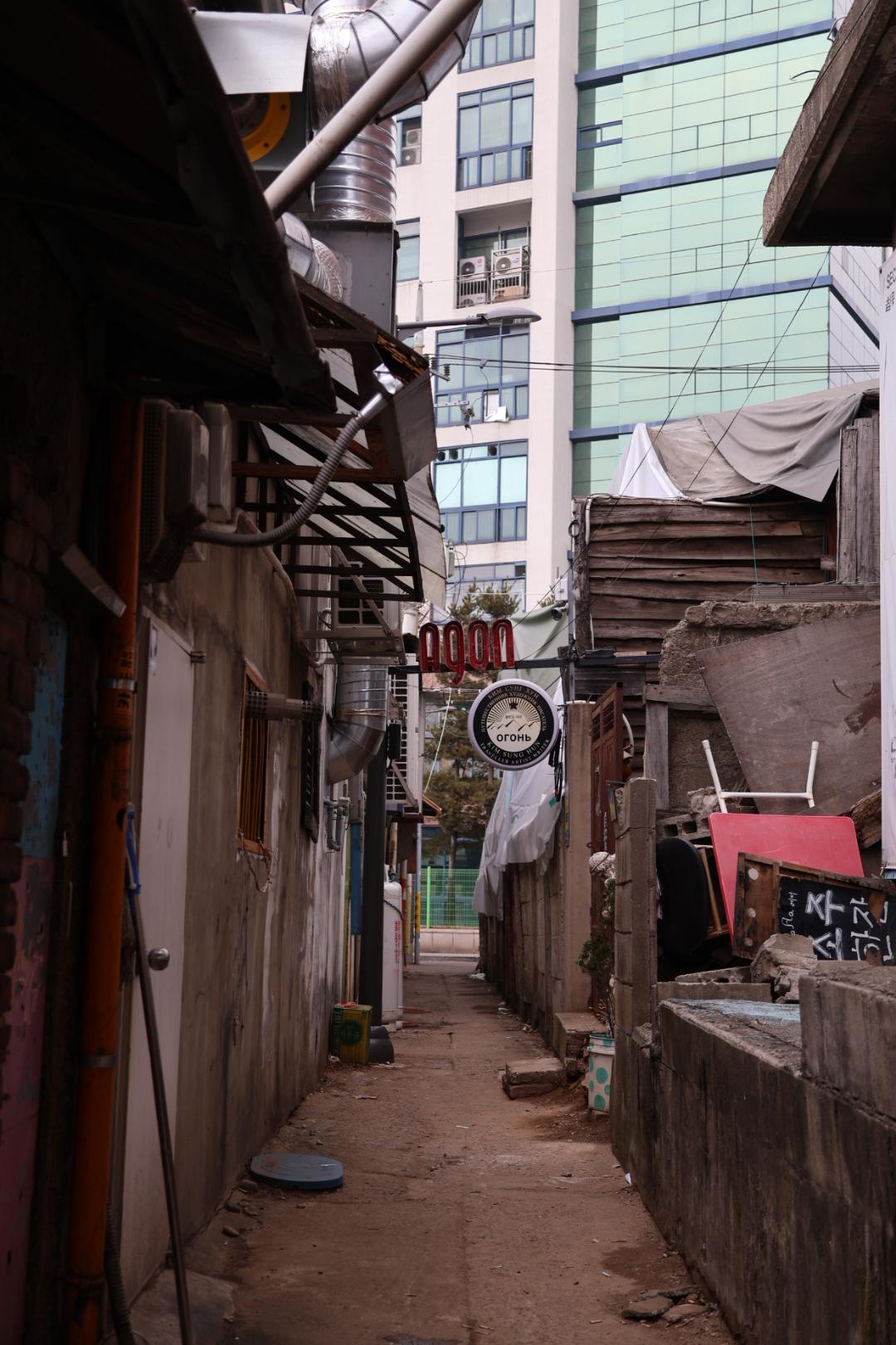 확실히 랜즈는 너무 좋습니다.