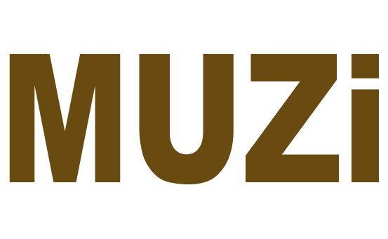 MUZi Door Closer Manufacturer Since 1992