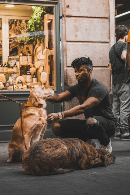 The Benefits of Service Dogs