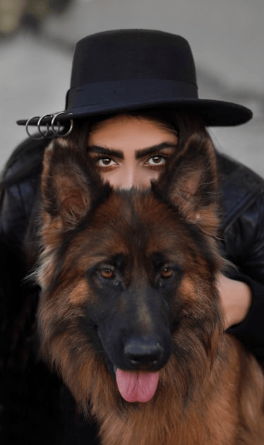 Training Your Service Dog