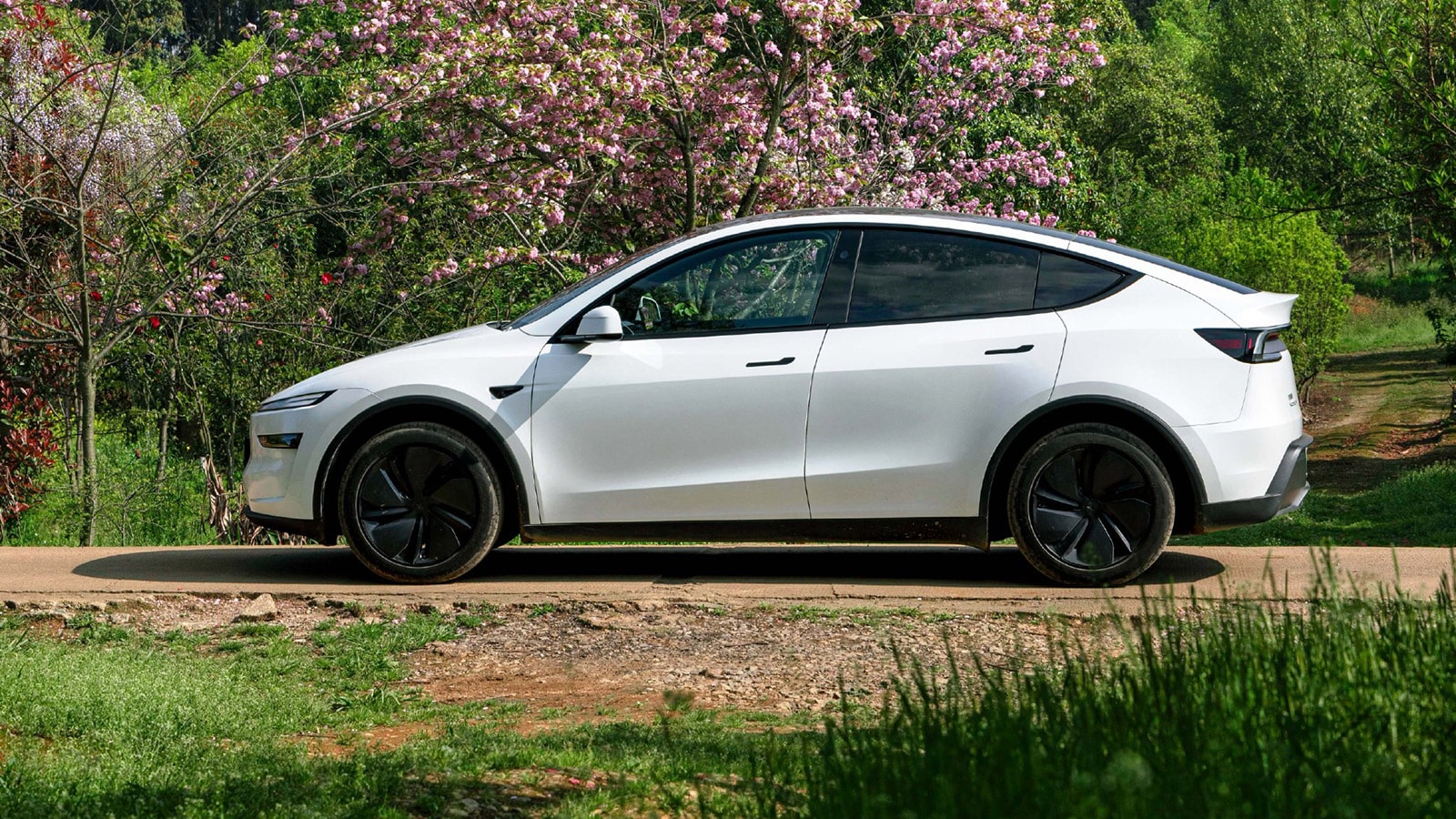 Tesla Model Y Performance Debuts in China with 659km Range & 250km/h Speed! 🔥 (2026)