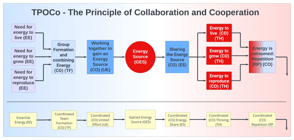Infographic of TPOCo Framework showing the flow of collaboration and cooperation from essential energy needs to thriving in a community.