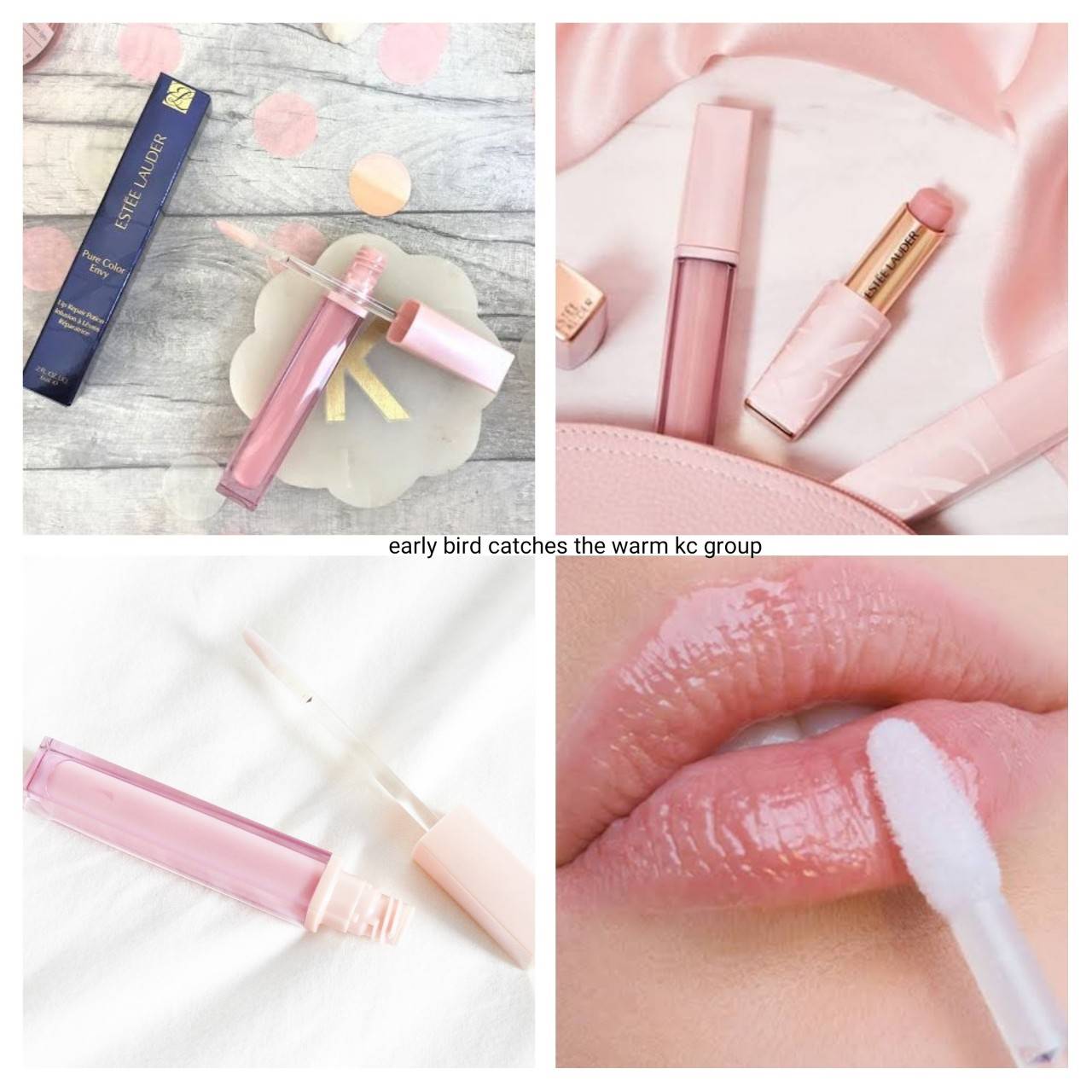 It is glossy, so i always . Estee Lauder Pure Color Envy Lip Repair Potion 6ml Inspired By Lnwshop Com