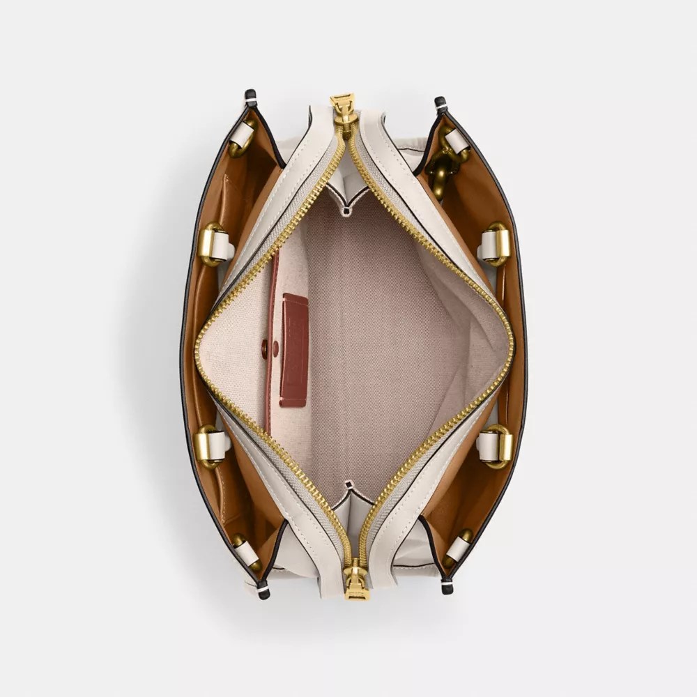 Coach Rogue 20 In Python Brass Chalk Editorialist - Abstract Design Collection - 8K Quality