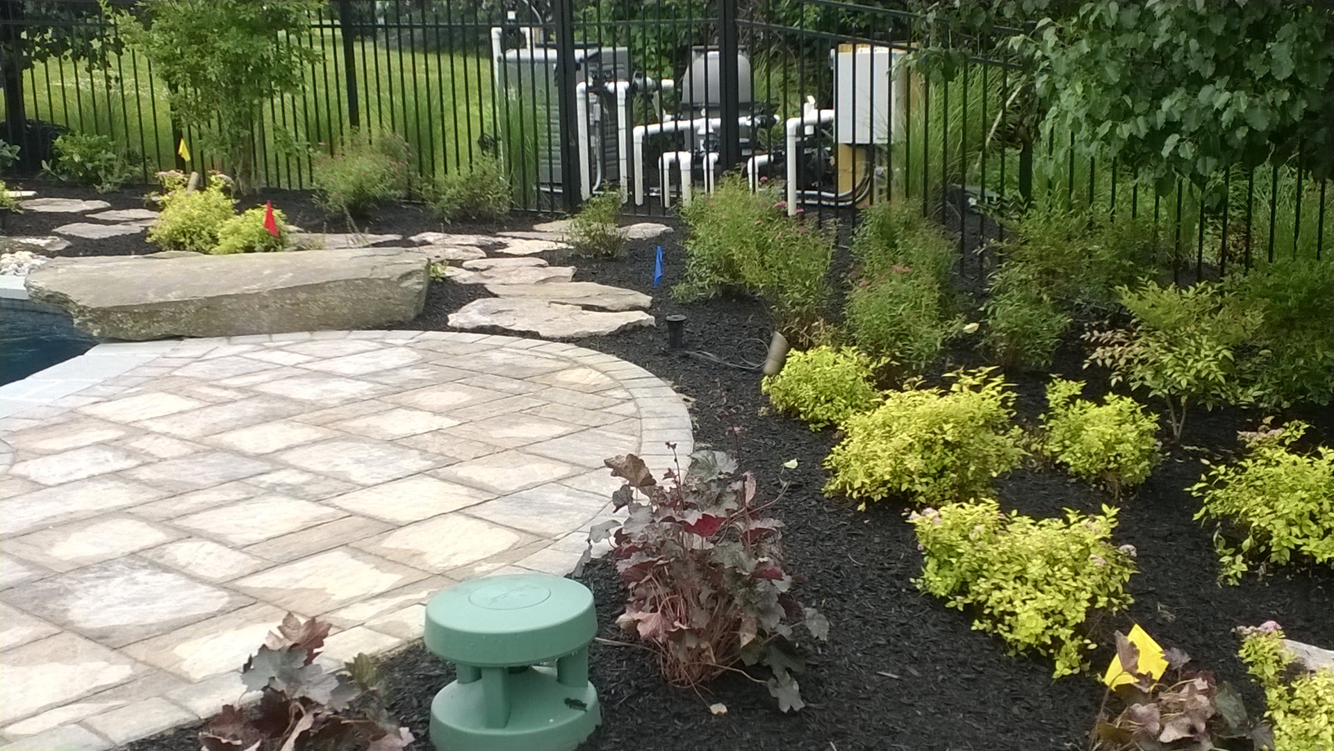 WP_20140605_009