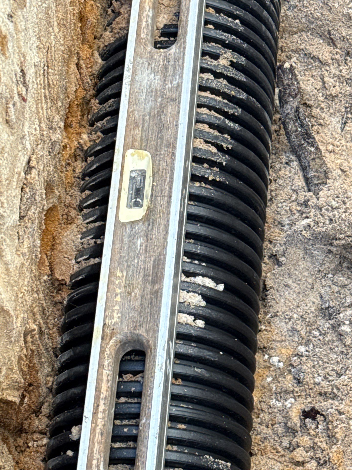 3604450039