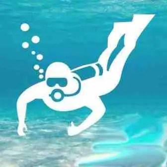 diver
