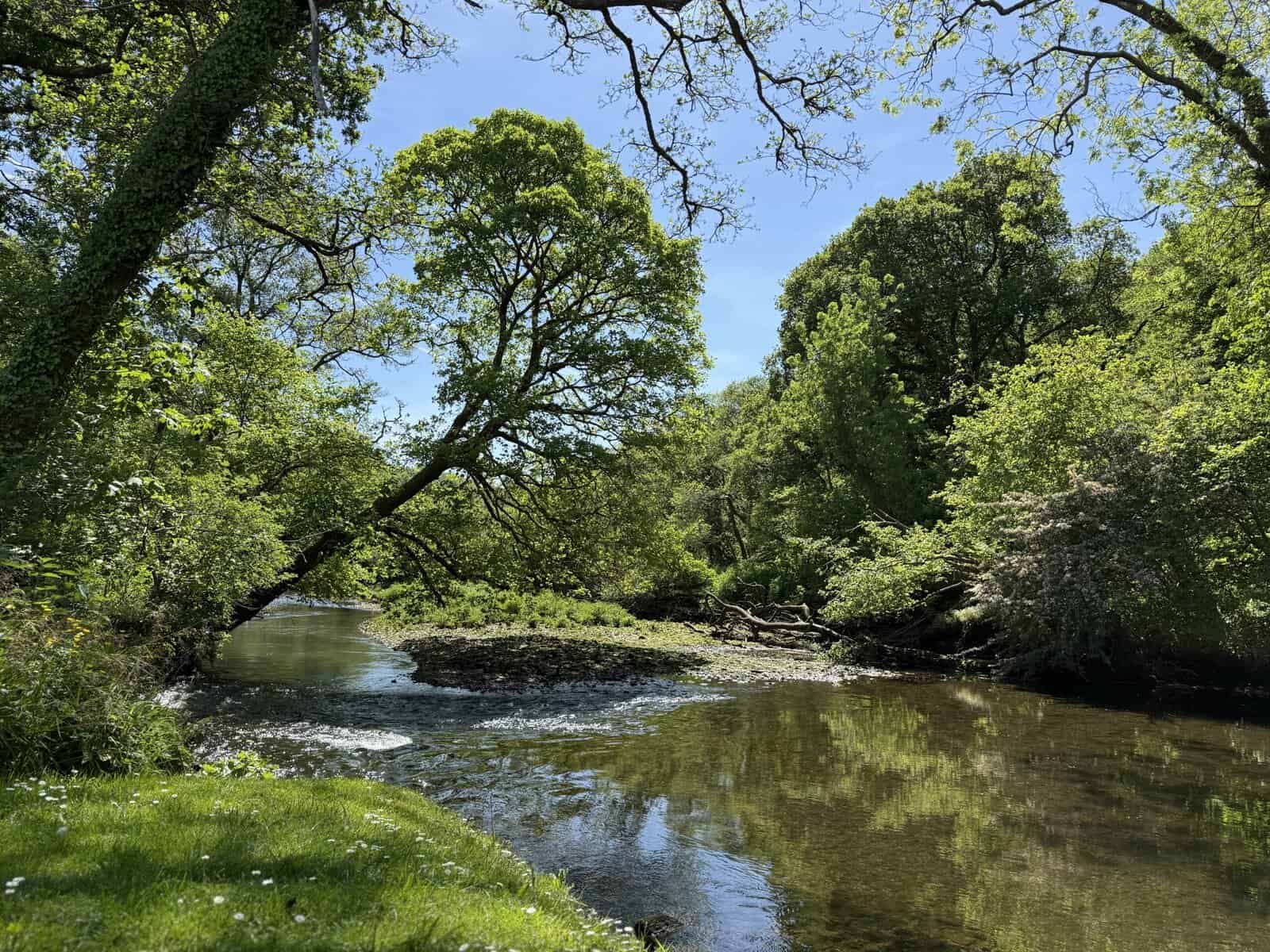 Sunny day by a calm river, lush green trees reflected in the water.