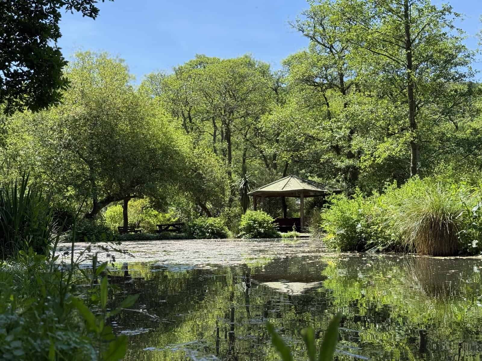 Serene pond reflecting gazebo and lush greenery.