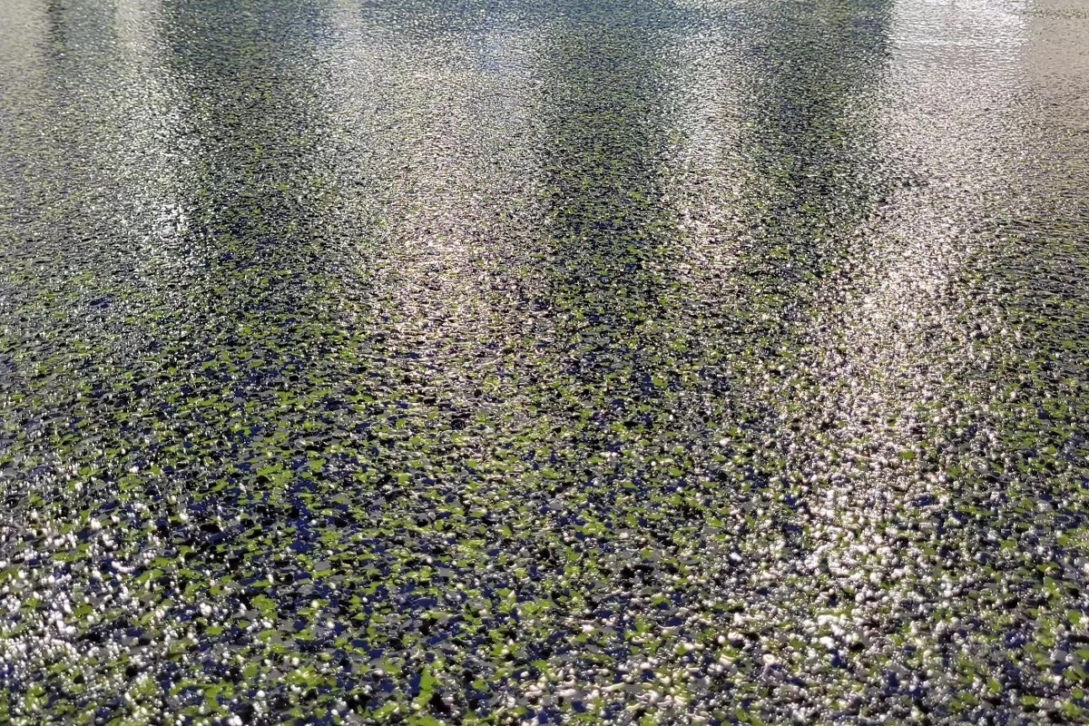 Quick Coat Epoxy Coatings in Ottawa