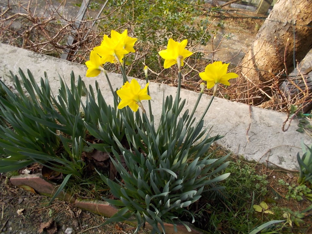 DSCN1981 (FILEminimizer)