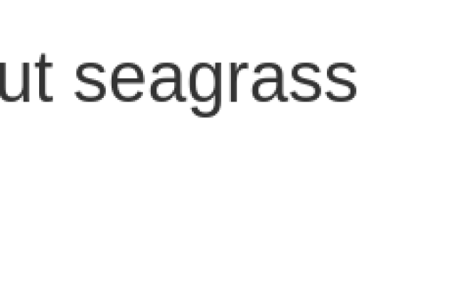 Shiny Webapps With R For Geospatial Exploration: The Basics Of A User Interface