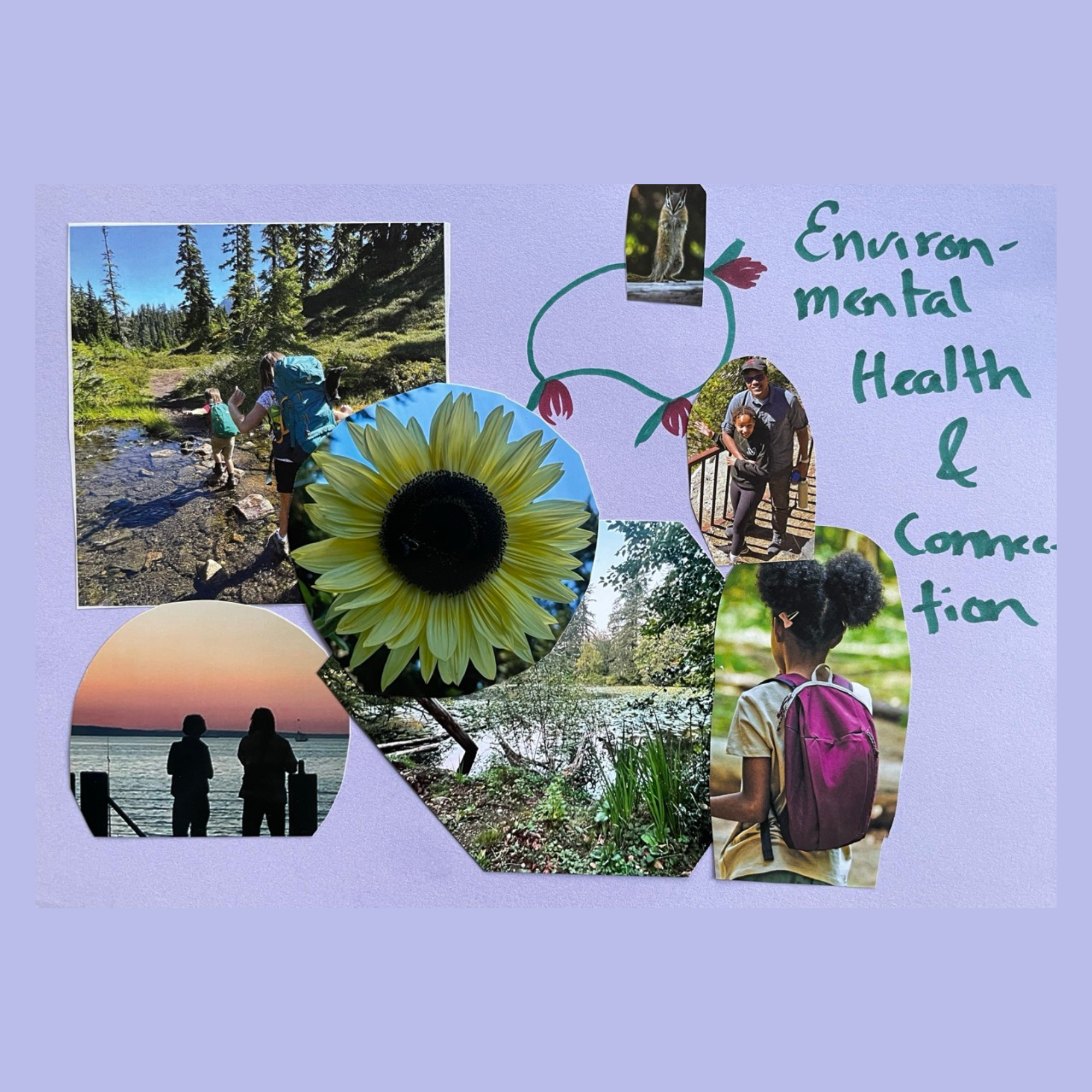 A collage with environmental imagery from photos and magazine clippings