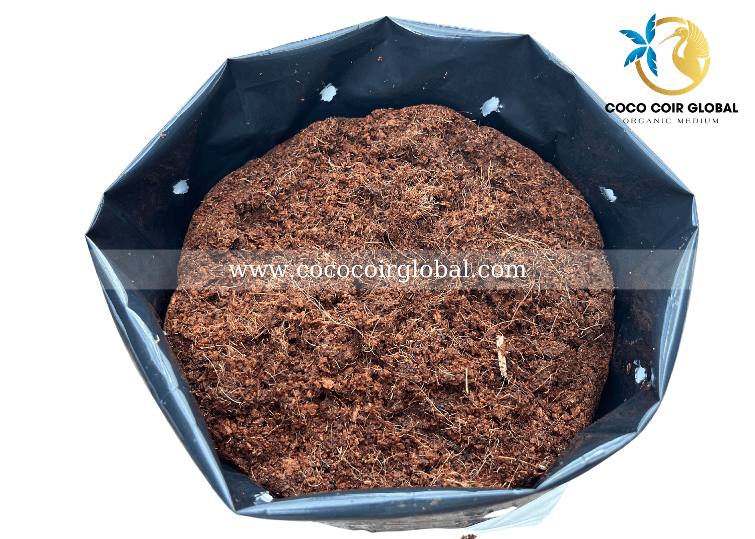 圧縮ココピート オープントップバッグ 1 2 Gal Coco Coir Global