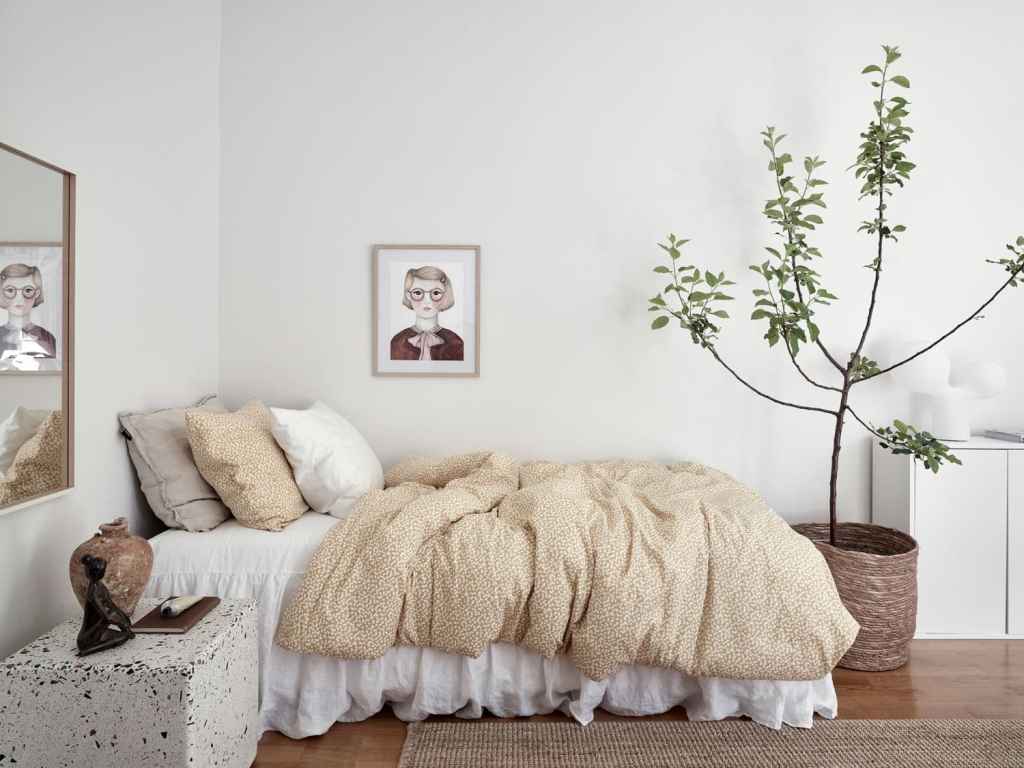 Cozy living space