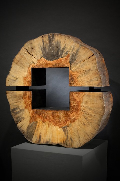 FIRES OF CHANGE: The Art of Fire Science - Coconino Center for the