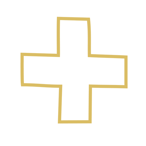 Physician Led Program