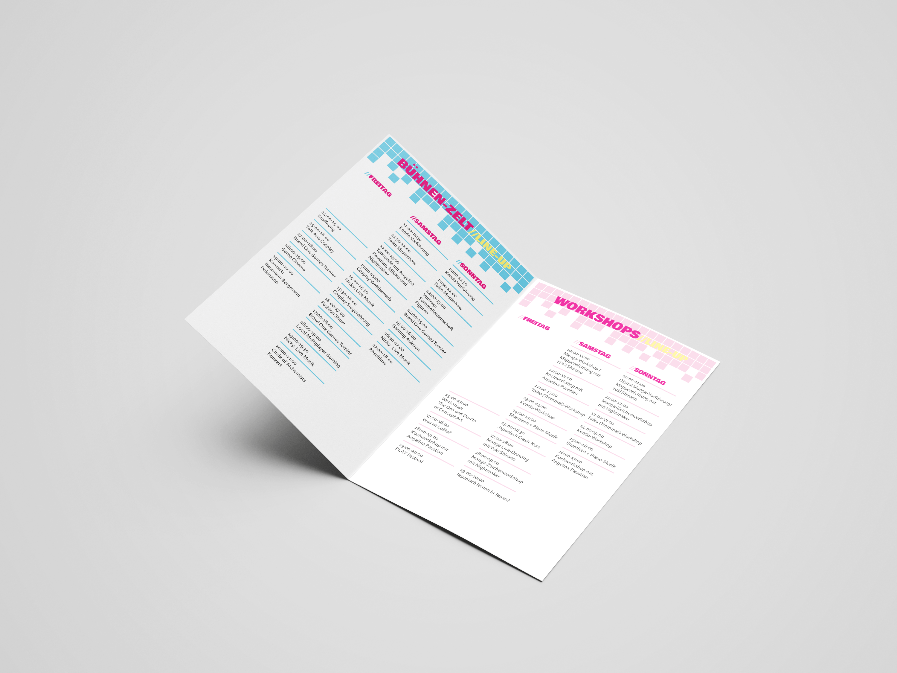 magnology leaflet with program