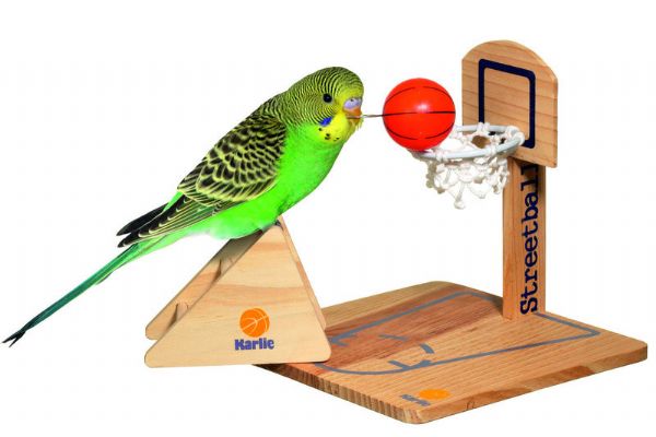 Set Di 7 Giochi Per Pappagalli In Cocco Naturale - Con Scala, Amaca, Trespolo E Campanelli Per Cockatiel, Ara E Pappagallini