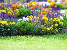 Pull The Weeds to Allow for Your Garden to Grow ...Create Freedom Within You to Thrive!