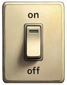 A traditional light switch is an example of something with two states: on and off. Bits are binary digits that can have one of two values.