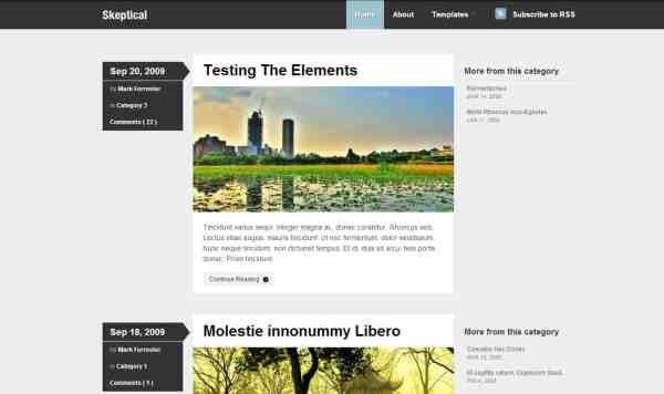 Teme WordPress 2011 - Skeptical