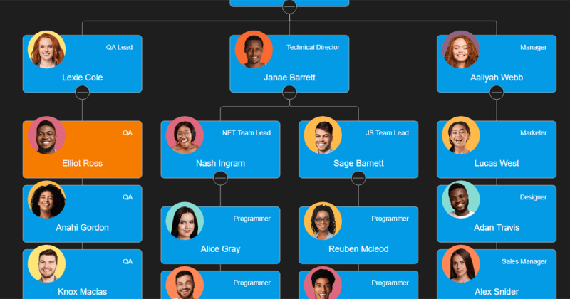 Highlight On Load Orgchart Js - Premium Dark Wallpaper Gallery - 4K