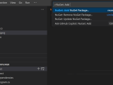 Nuget In Visual Studio Code