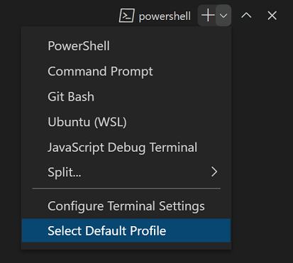 Terminal Profiles in Visual Studio Code (1) Terminal Profiles in Visual Studio Code (1)