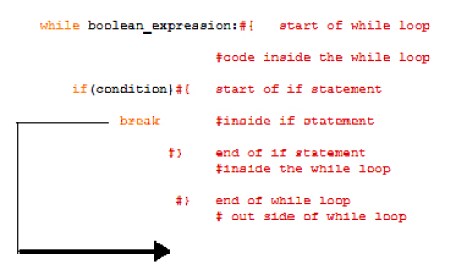 Break in python programming 