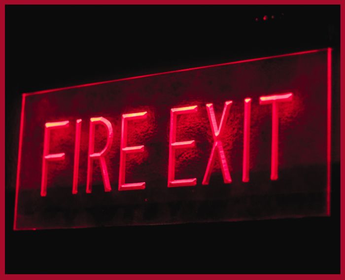 Fire Watch Royal Palm Ensuring Safety Code 4 Fire Watch - Premium Landscape Design Gallery - 4K