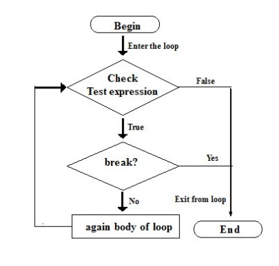 break statement in Python language