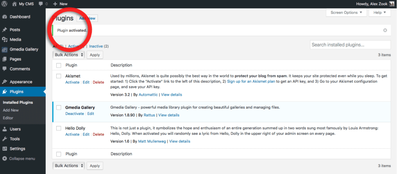 Install And Activate Gmedia Wordpress Gallery Plugin Codeasily Com - Professional City Background - Desktop