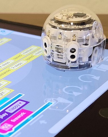 Codebeedo Academy Codebeedo Academy - Best Vintage Designs in 8K