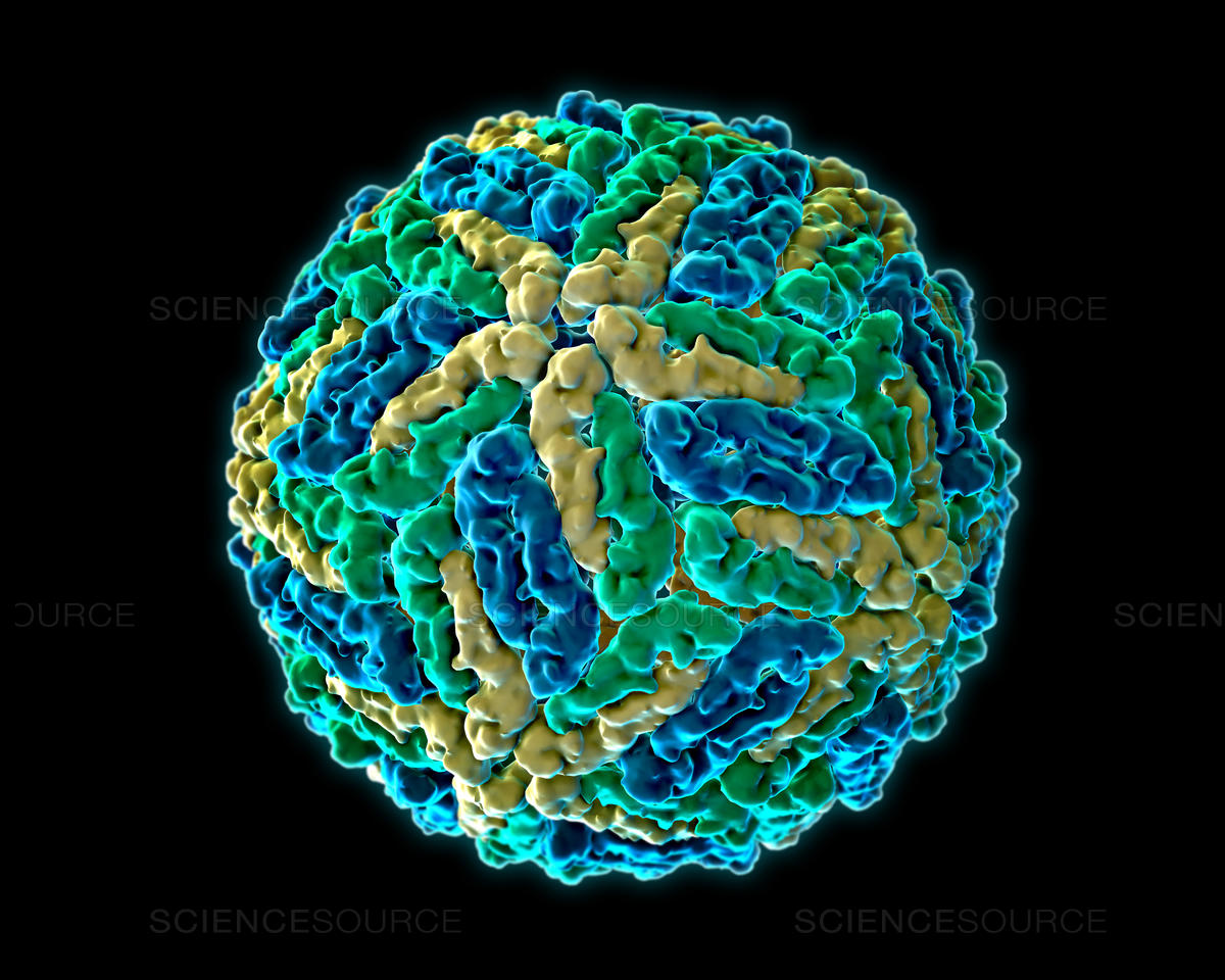 Dengue Cases Reach Almost 200,000 In The Philippines ...