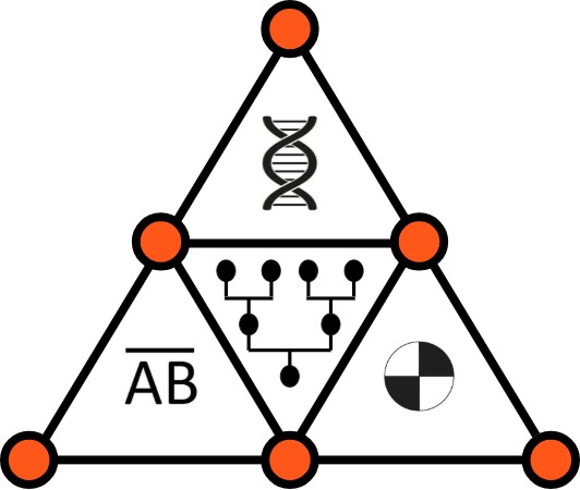 Genetic Mapping:  Finding the Earliest Genetic Ancestor