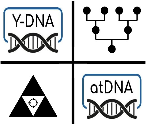 Genetic Profiling: Y-DNA Edition