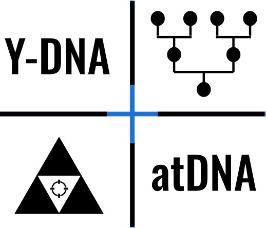 Genetic Profiling: Y-DNA Edition