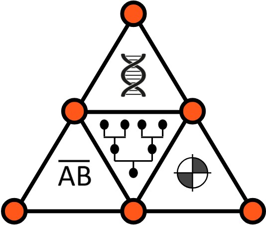 Genetic Mapping:  Finding the Earliest Genetic Ancestor