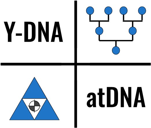 Genetic Profiling: Y-DNA Edition