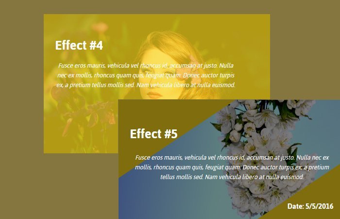 Html Css Image Hover Effects With Text Codeconvey - Premium Landscape Illustration Gallery - Ultra HD