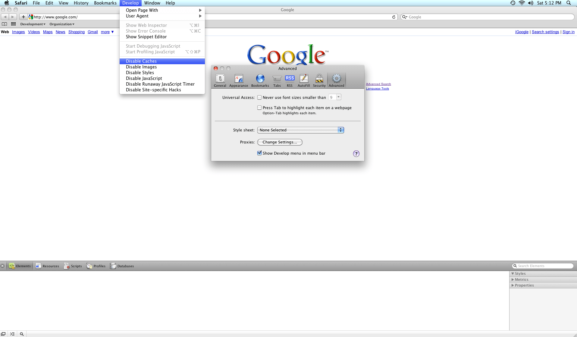 Show develop menu in menu bar